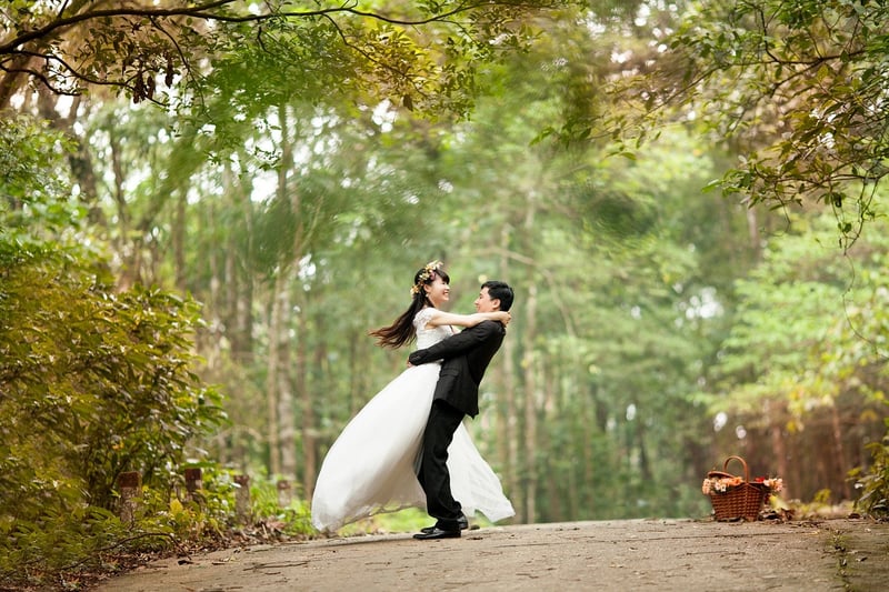 Forest Celebration